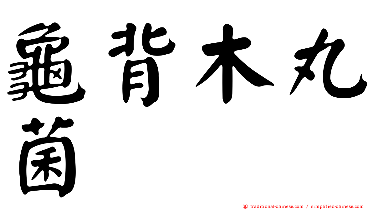 龜背木丸菌