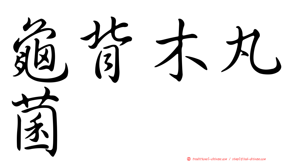 龜背木丸菌