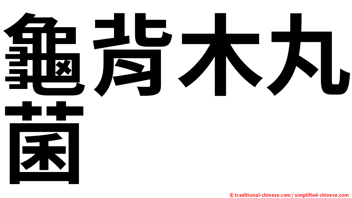 龜背木丸菌