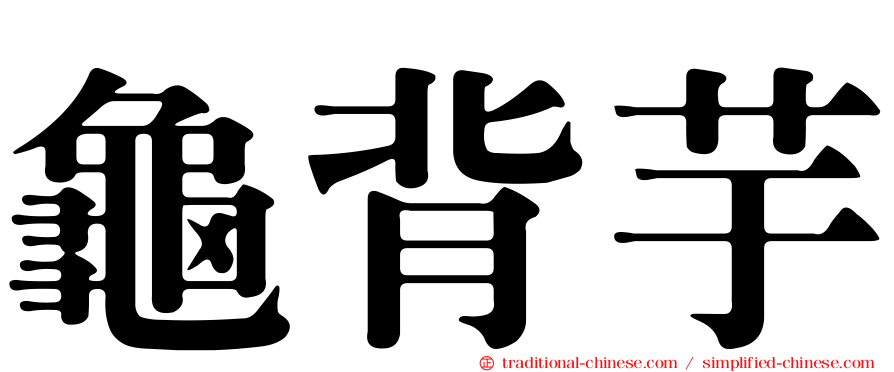 龜背芋