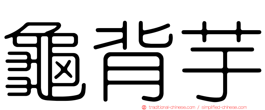 龜背芋