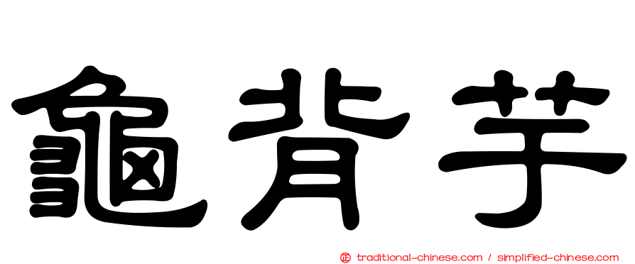 龜背芋