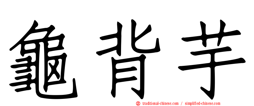 龜背芋