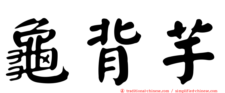 龜背芋
