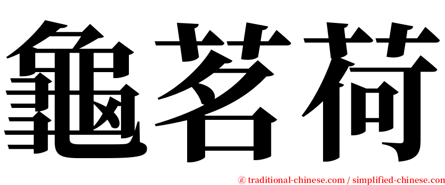 龜茗荷 serif font