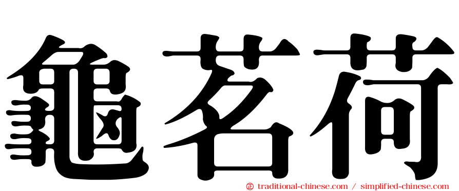 龜茗荷