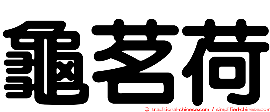 龜茗荷
