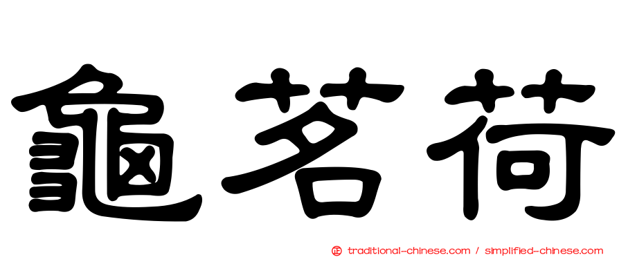 龜茗荷