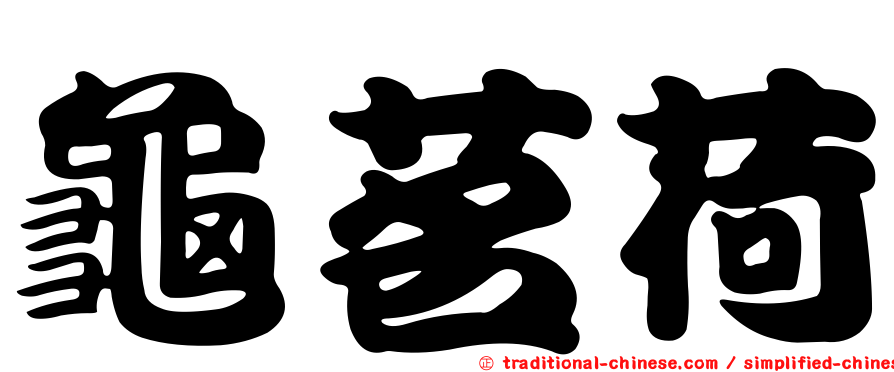 龜茗荷