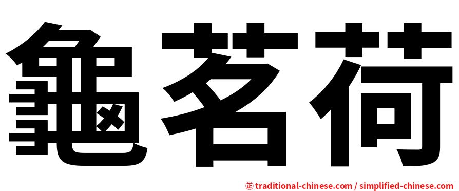 龜茗荷