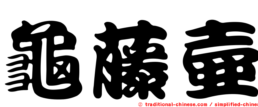 龜藤壺