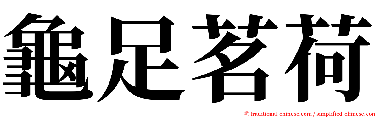 龜足茗荷 serif font