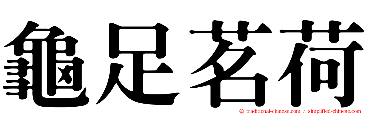 龜足茗荷