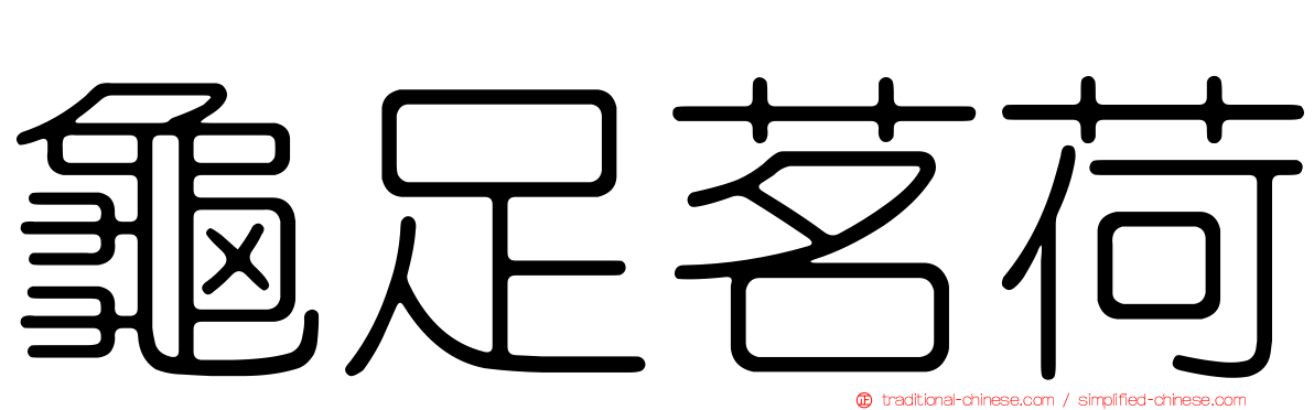龜足茗荷