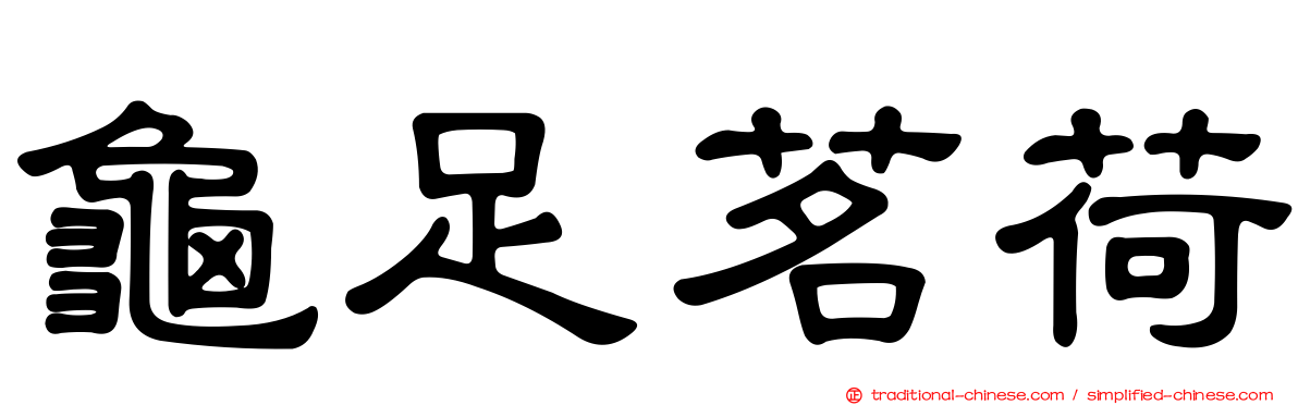 龜足茗荷