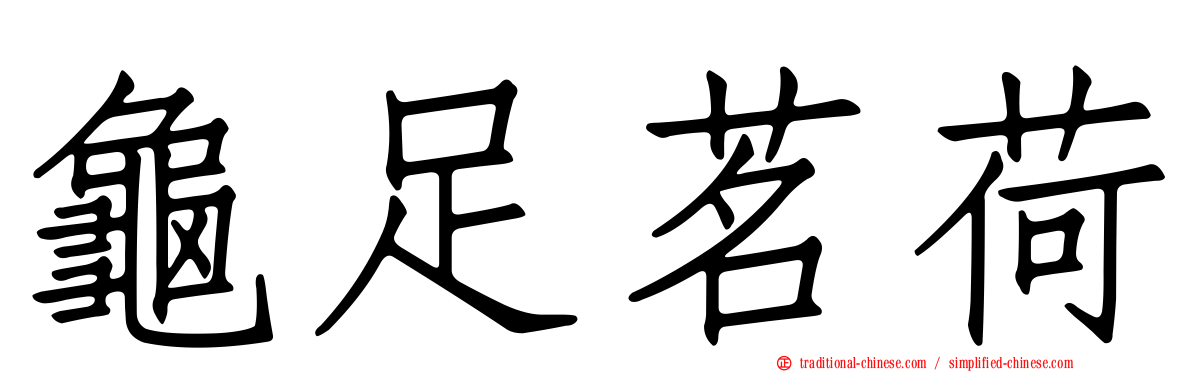 龜足茗荷