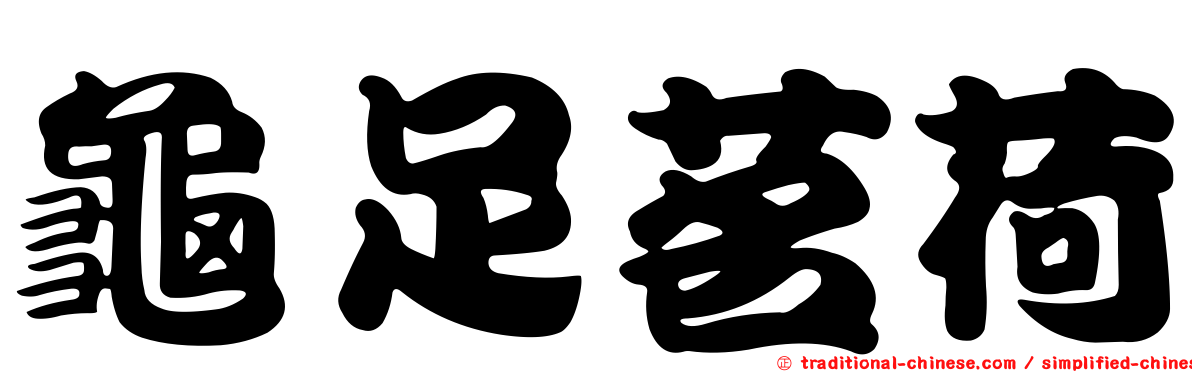 龜足茗荷