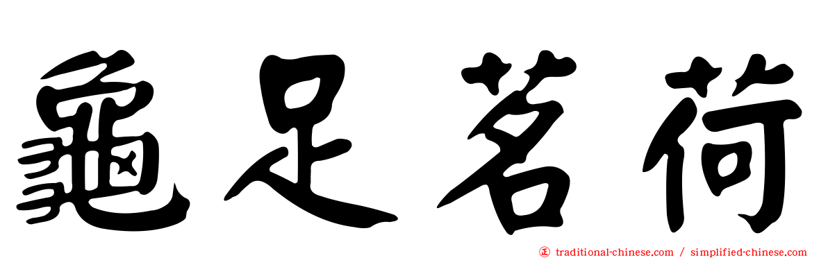 龜足茗荷