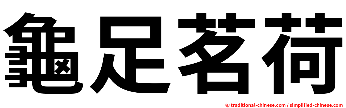 龜足茗荷