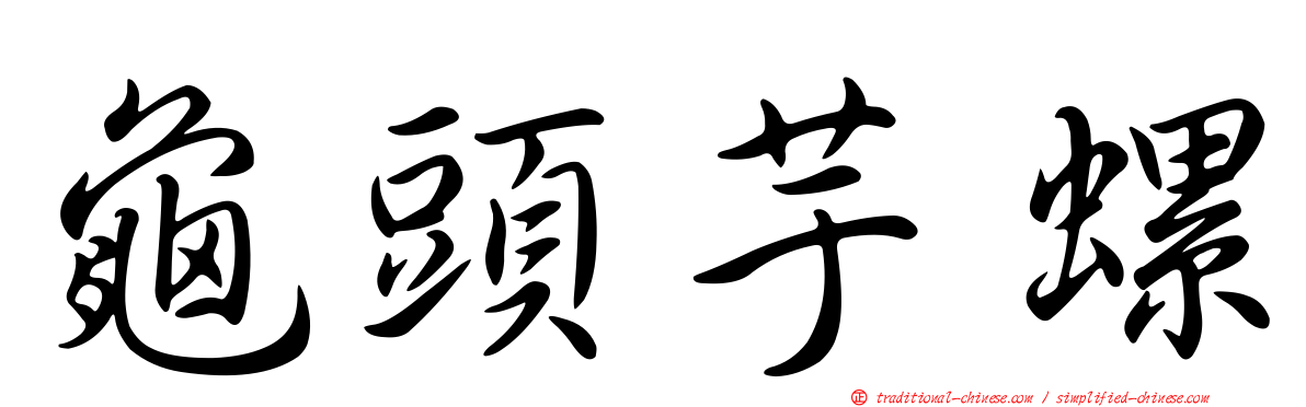 龜頭芋螺