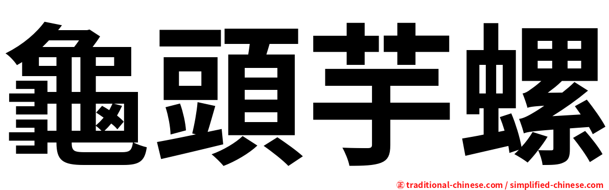 龜頭芋螺