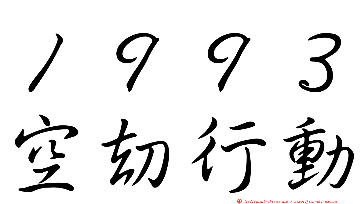 １９９３空劫行動