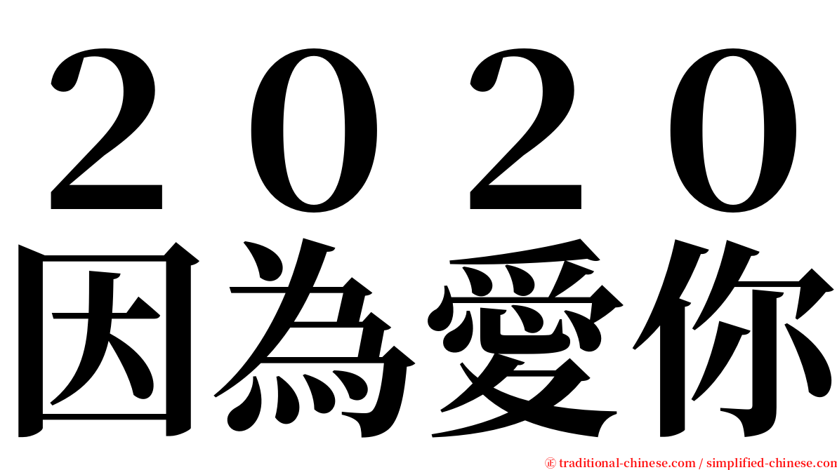 ２０２０因為愛你 serif font