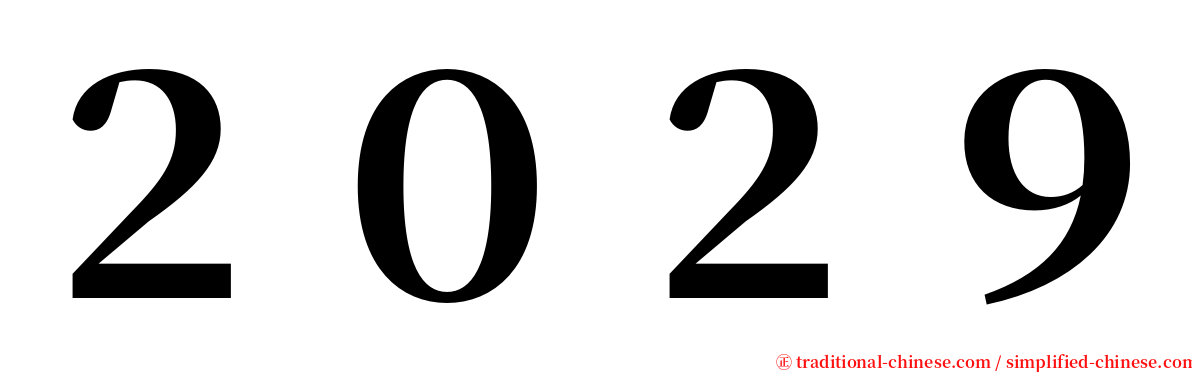 ２０２９ serif font