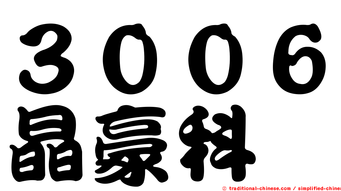 ３００６晶豪科