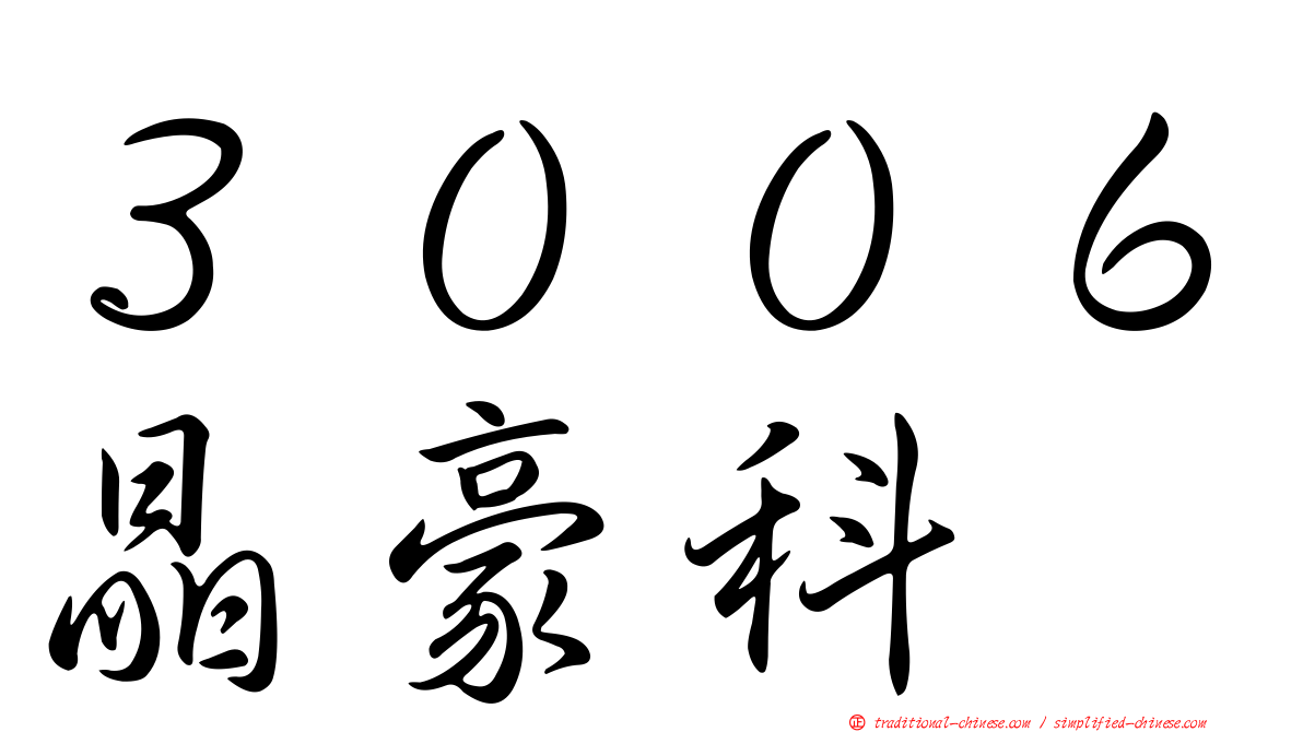 ３００６晶豪科