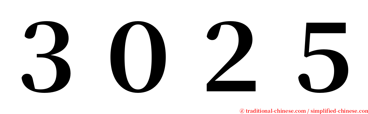 ３０２５ serif font