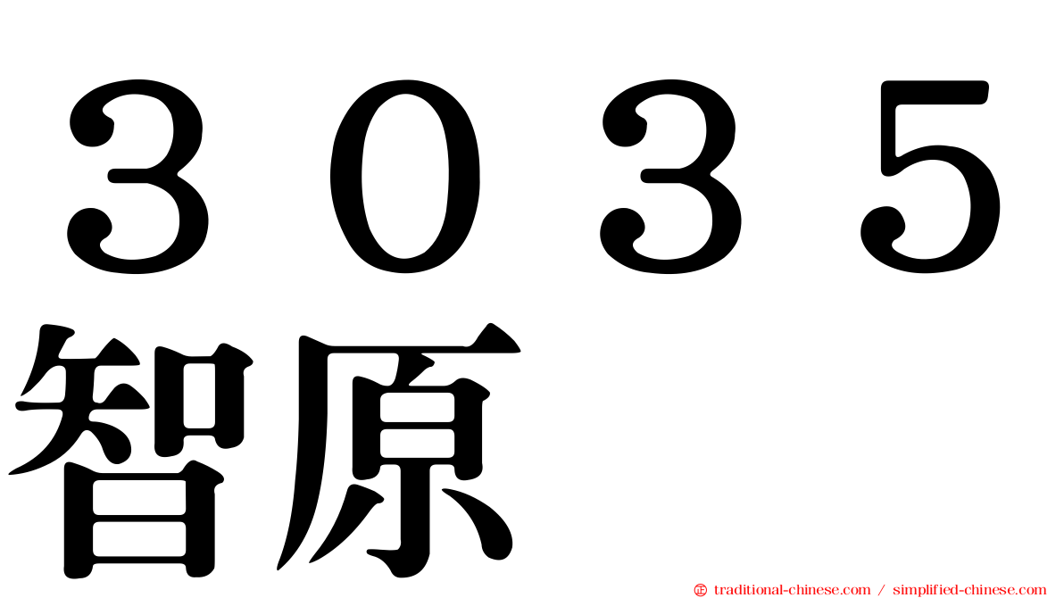 ３０３５智原