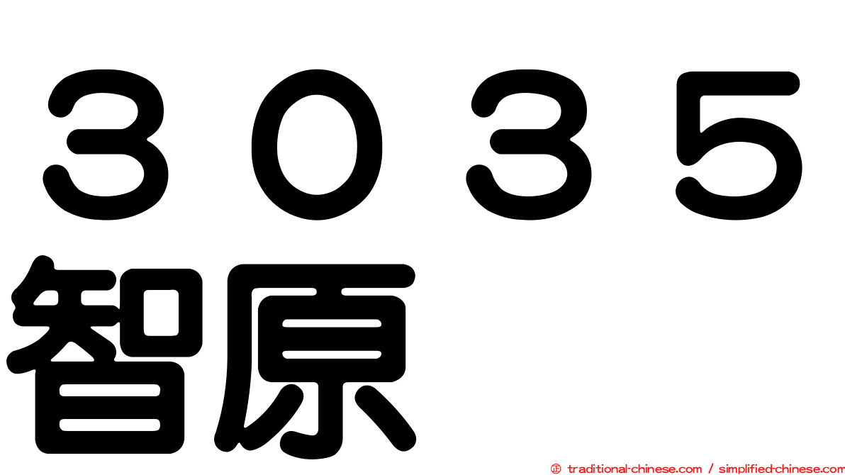 ３０３５智原