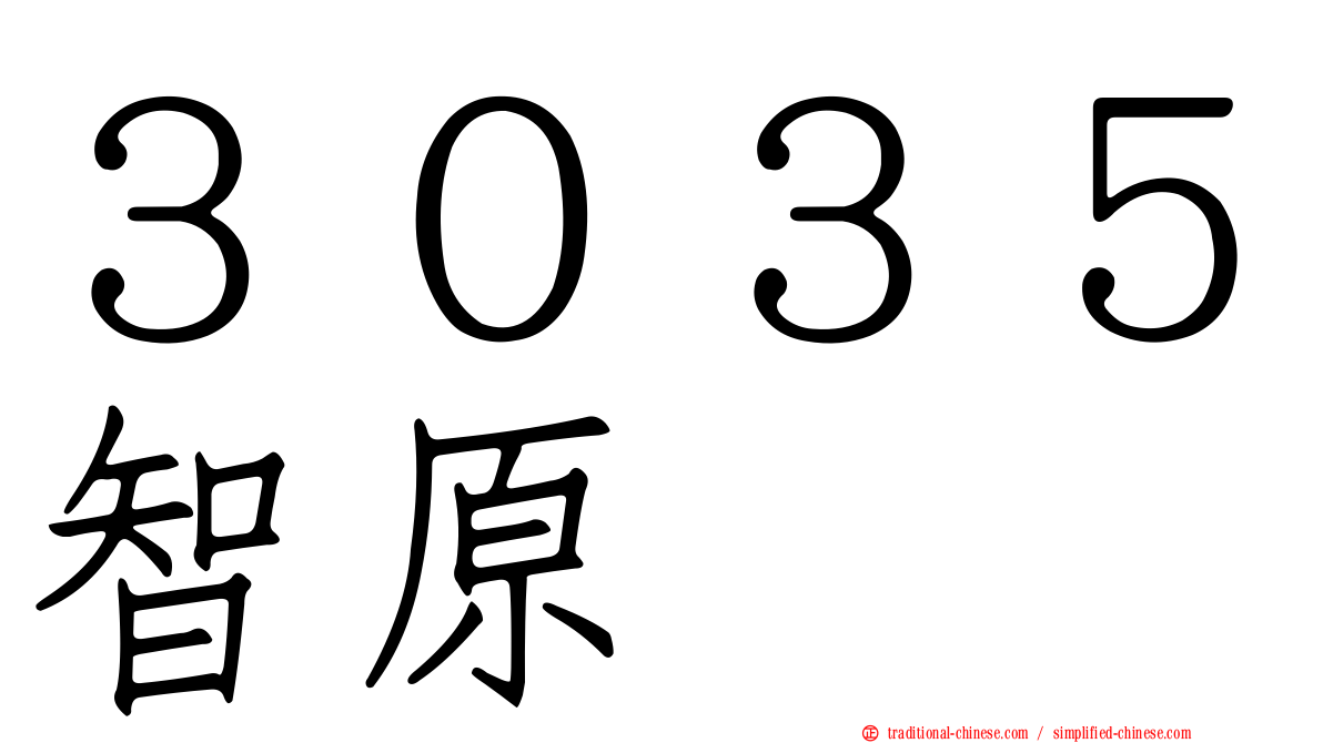 ３０３５智原
