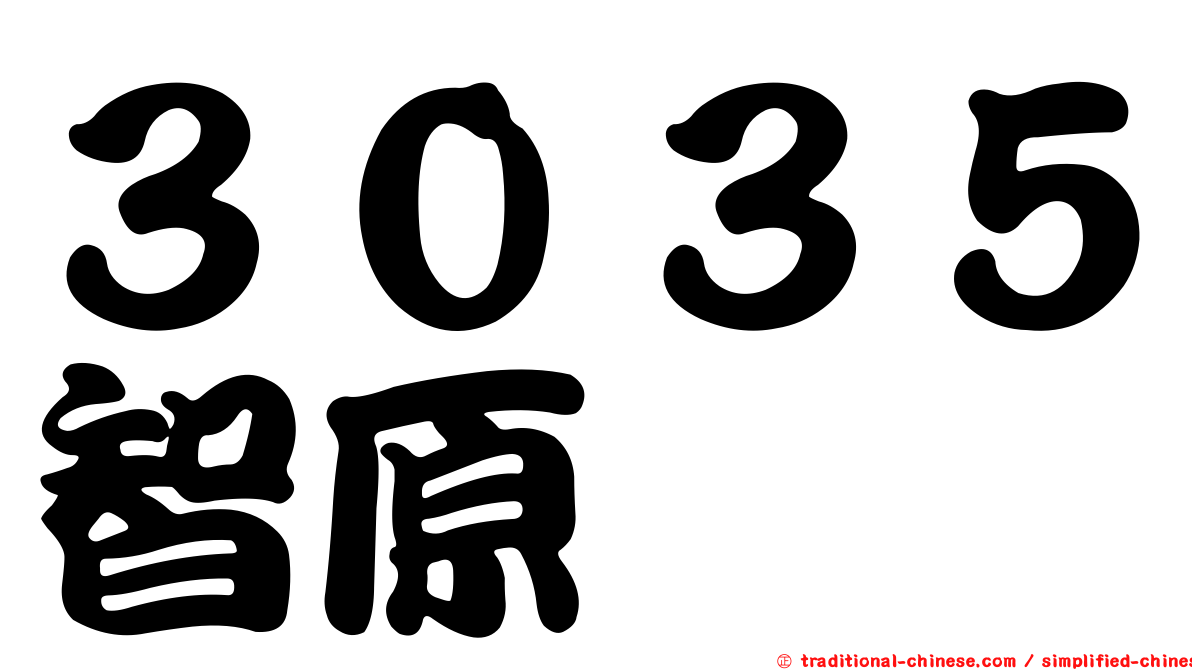 ３０３５智原