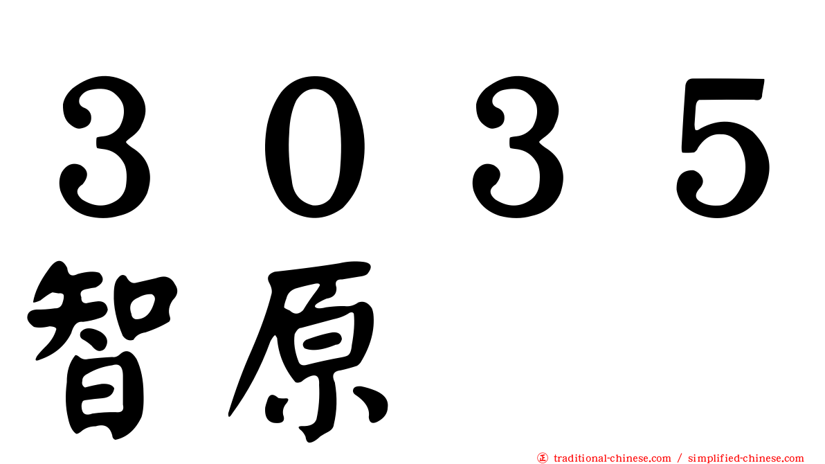 ３０３５智原