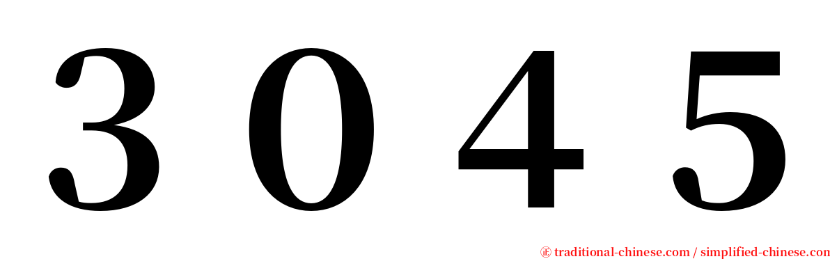３０４５ serif font