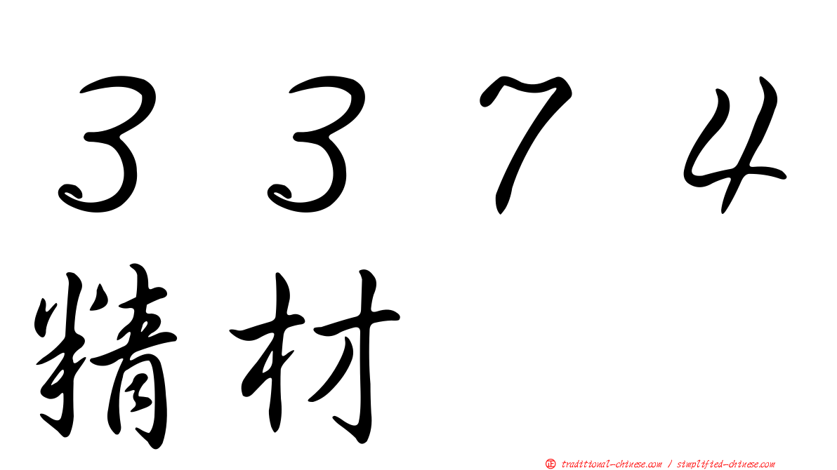 ３３７４精材