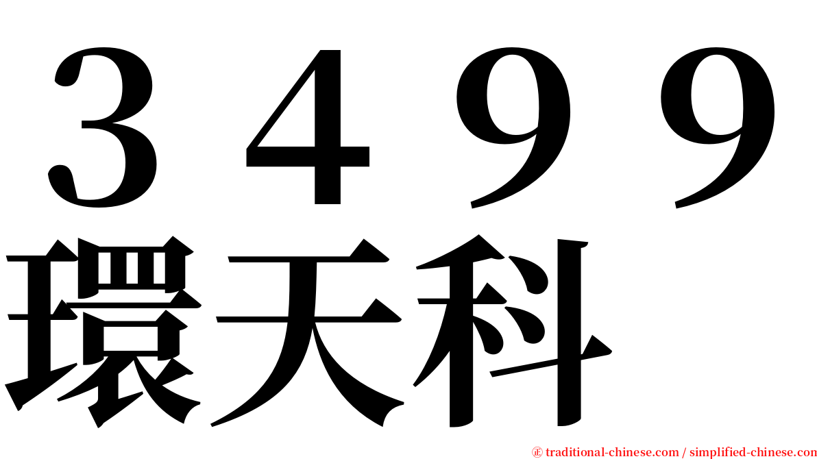 ３４９９環天科 serif font