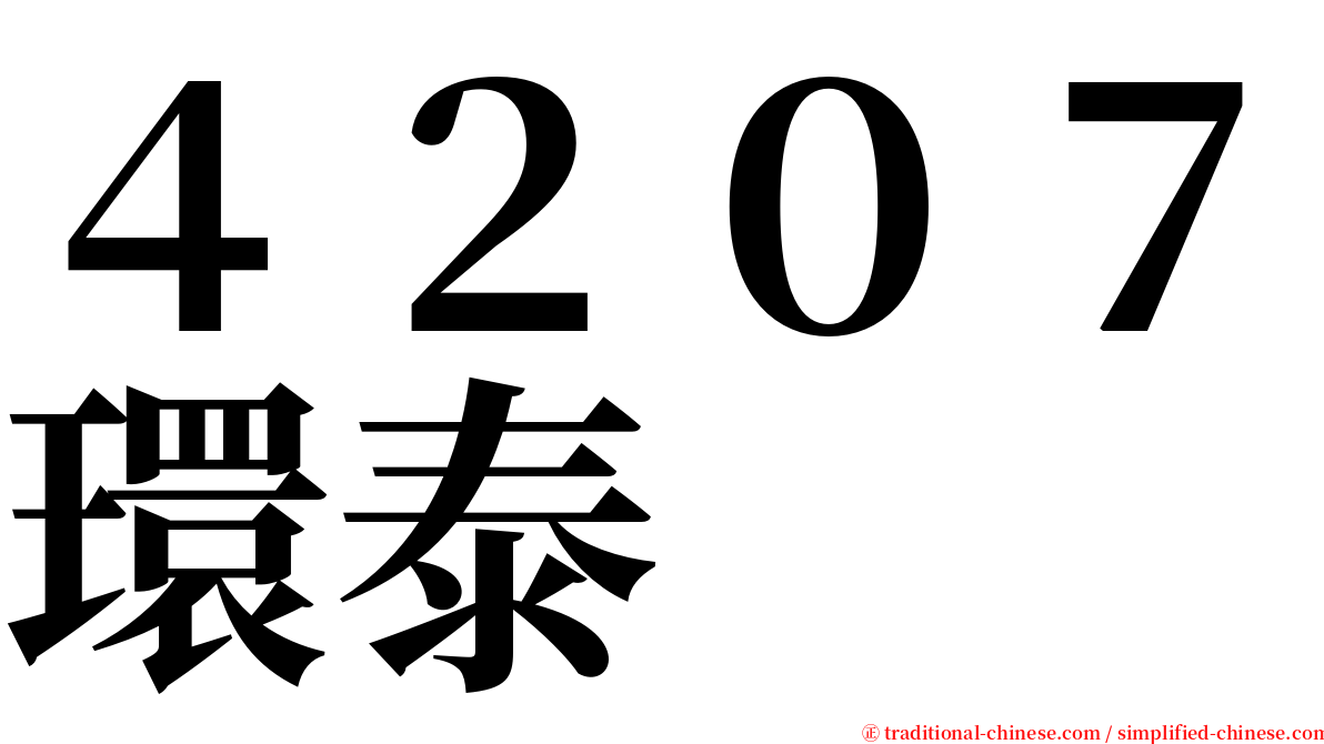 ４２０７環泰 serif font