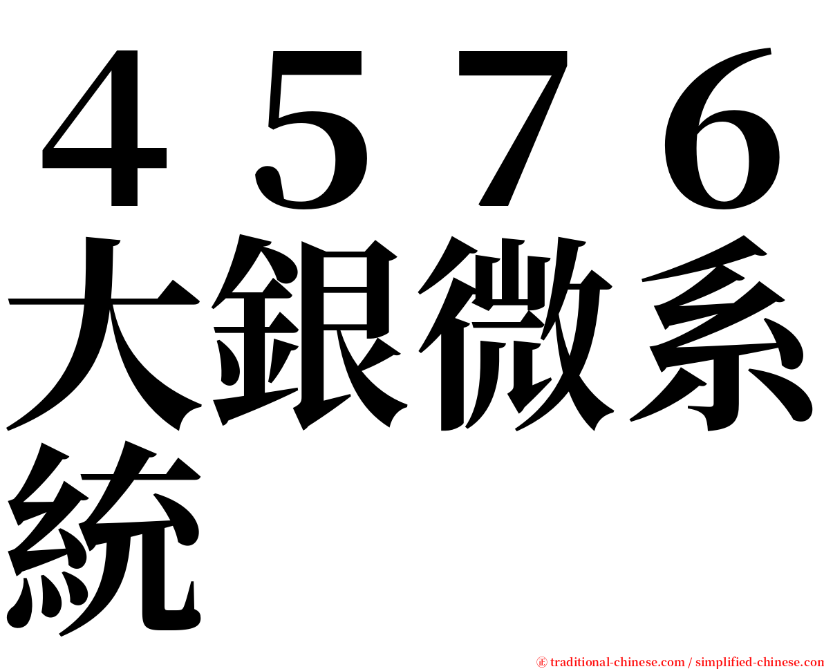 ４５７６大銀微系統 serif font