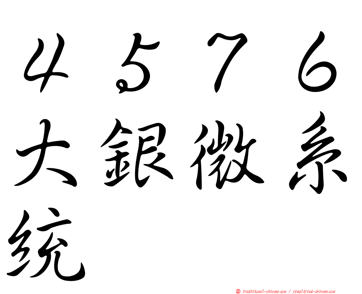 ４５７６大銀微系統