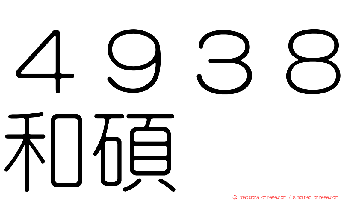 ４９３８和碩