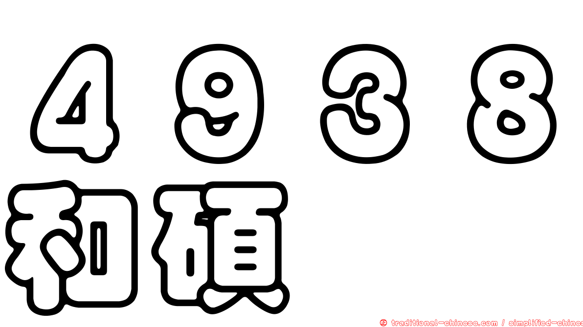 ４９３８和碩