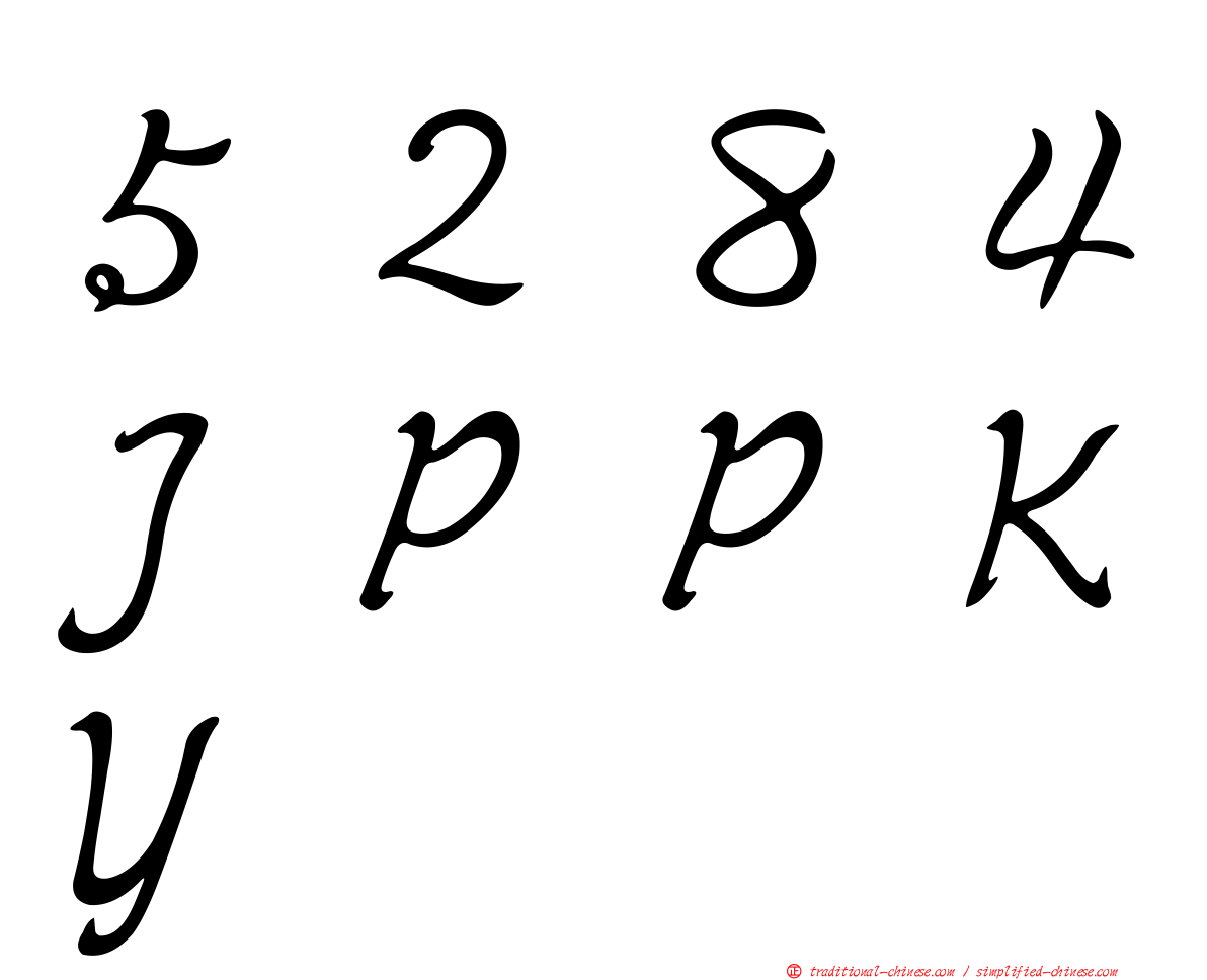 ５２８４ＪＰＰＫＹ