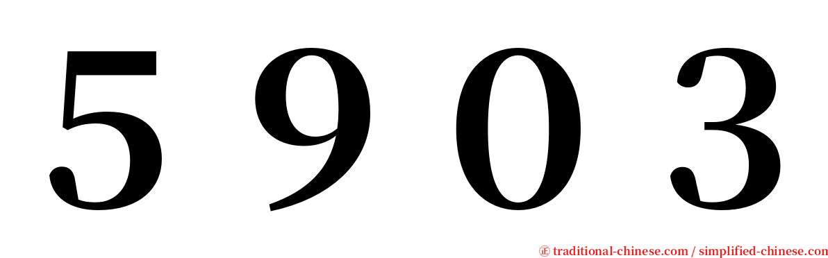 ５９０３ serif font