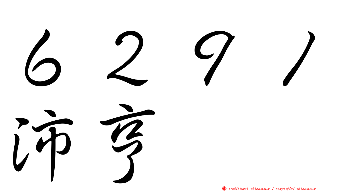 ６２９１沛亨