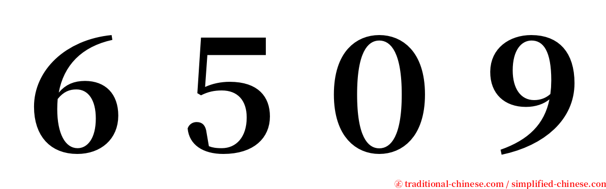 ６５０９ serif font