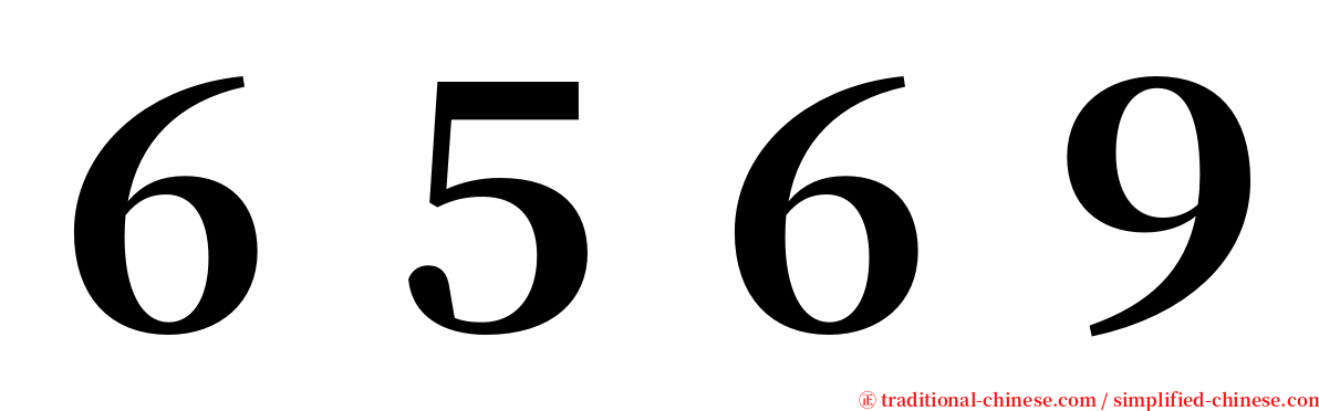 ６５６９ serif font