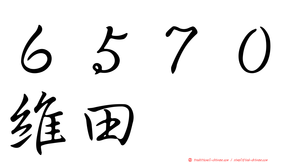 ６５７０維田